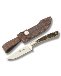 Boker Arbolito Nicker with Stag Handle and T6Mov Steel 3.75" Skinner Plain Edge Blade and Leather Belt Sheath Model 02BA736H
