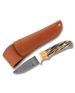 Bear & Son Hunter with Genuine India Stag Handle and Damascus Steel 2.75" Drop Point Plain Edge Blade Model 548D