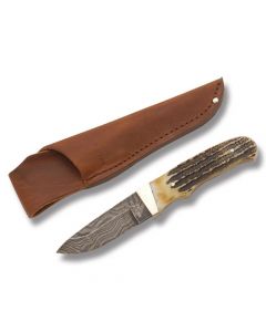 Bear & Son Hunter with India Stag Bone Handle and Damascus Steel 3.688" Drop Point Plain Edge Blade Model 549D