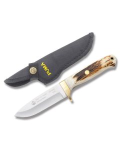 Puma Elk Hunter with Stag Handles and Stainless Steel 4" Spear Point Plain Edge Blades Model 6816050L